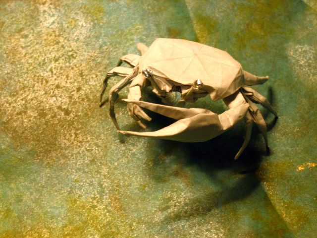 fiddlercrab2 (640x480, 69Kb)