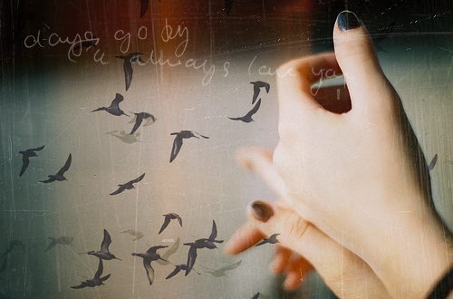 2 (500x330, 284Kb)