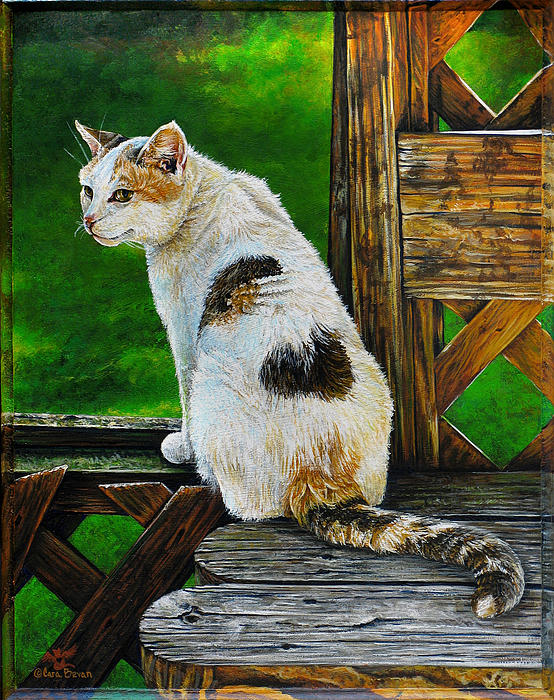 nubby-cara-bevan_003 (554x700, 146Kb)
