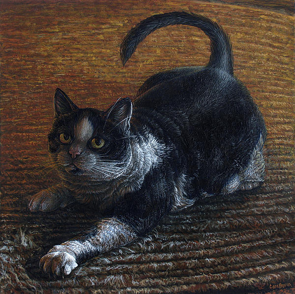ralphie-cara-bevan_002 (600x598, 112Kb)