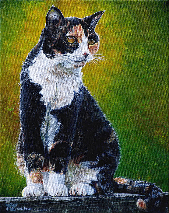 sassy-cara-bevan_003 (555x700, 157Kb)