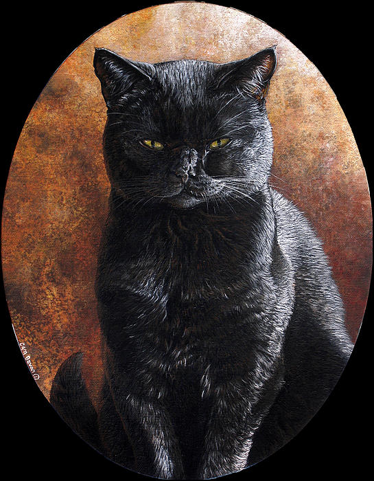 vader-cara-bevan_003 (545x700, 99Kb)