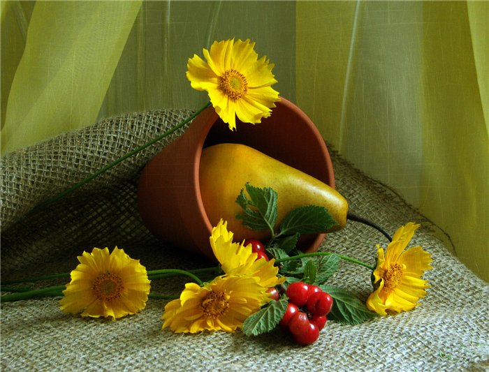 2795685_99295 (700x533, 92Kb)