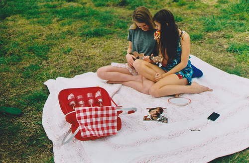 Две девушки на пикнике на лугу - стоковое векторное изображение