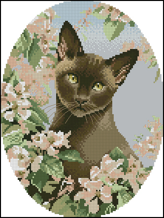 PM4-JSBC304_Burmese Cat (333x441, 159Kb)