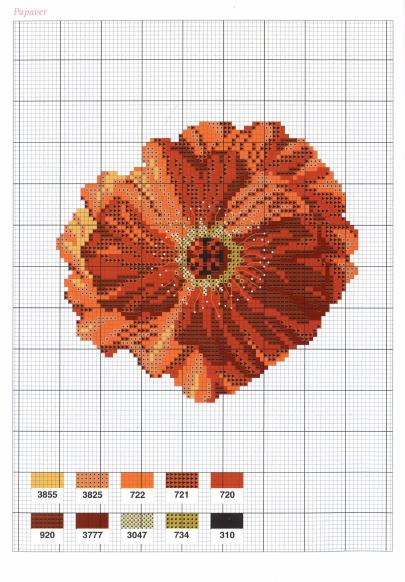 Flowers Fleurs (2004)_hq_13 (405x582, 53Kb)