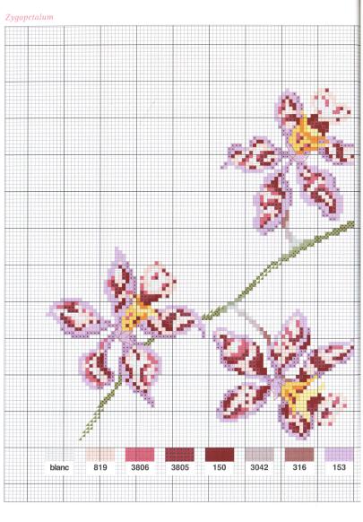 Flowers Fleurs (2004)_hq_42 (405x582, 54Kb)