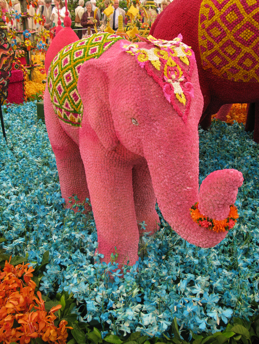 All sizes  Pink elephants from Thailand  Flickr - Photo Sharing! (526x700, 813Kb)