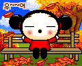 pucca_gallery_04 (120x96, 20Kb)