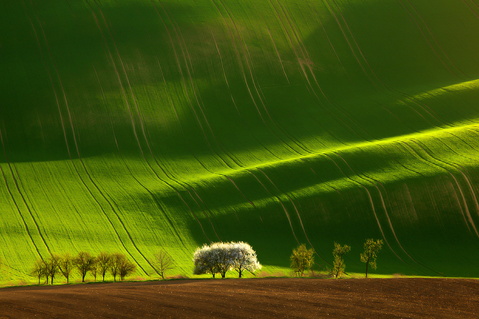 1309 (700x466, 428Kb)