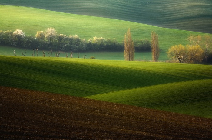 10100 (700x461, 99Kb)