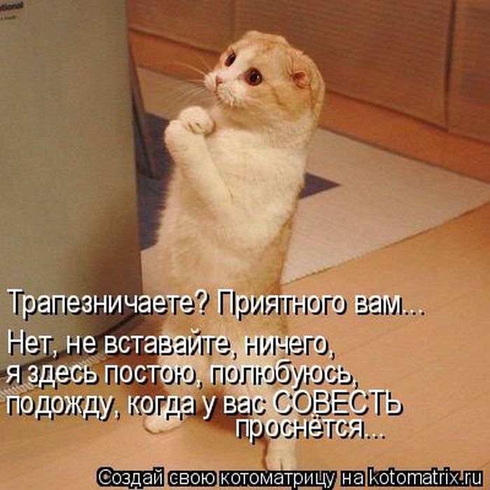 Прикольное пожелание приятного аппетита Прикольное пожелание приятного аппетита