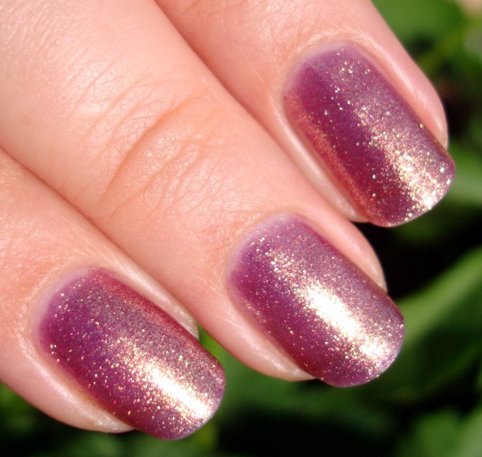 DSC04651 (700x663, 86Kb)