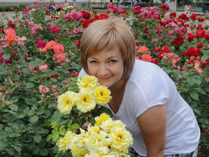 Одноклассники Знакомства Воронеж