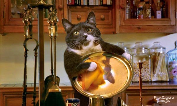 1296492989_domohozyajka003 (600x360, 51Kb)