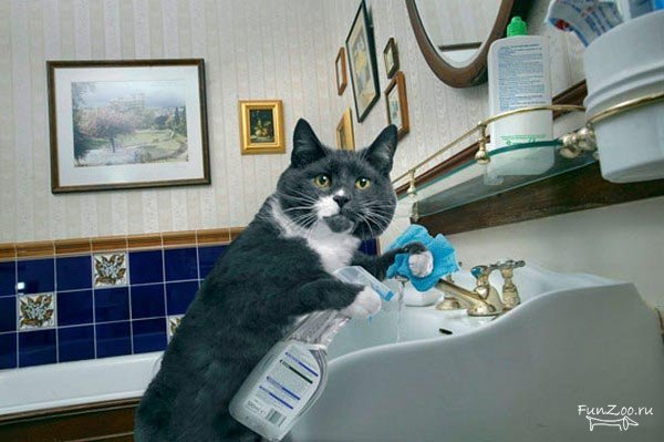 1296493049_domohozyajka001 (600x399, 48Kb)