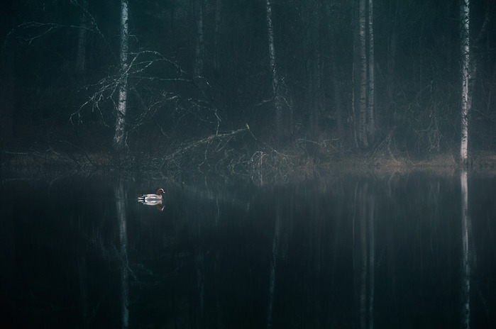mikko13 (700x464, 54Kb)