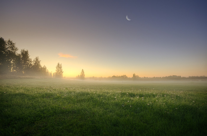 mikko36 (700x462, 79Kb)