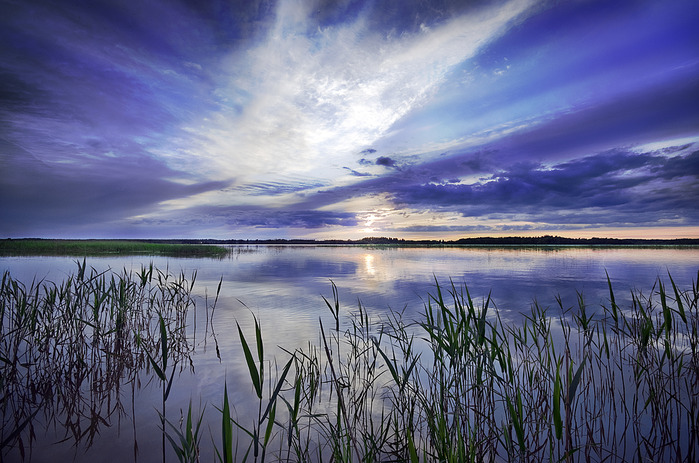 mikko38 (700x463, 140Kb)