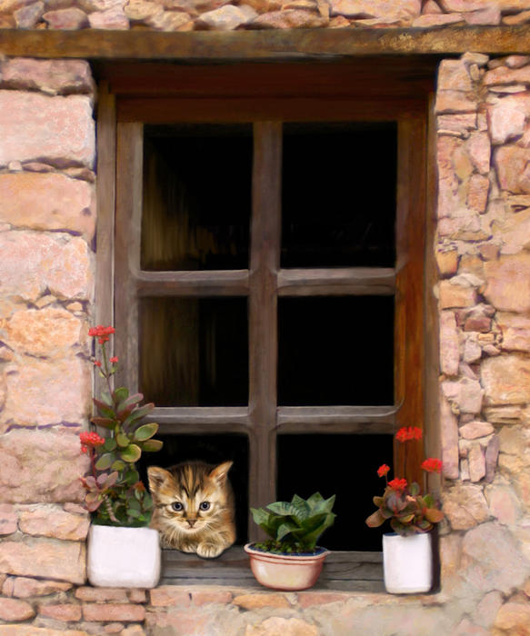 tuscan-kitten-in-the-window-bob-nolin_003 (583x700, 128Kb)