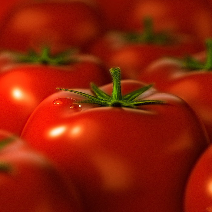 3233534_1tomato (700x700, 157Kb)