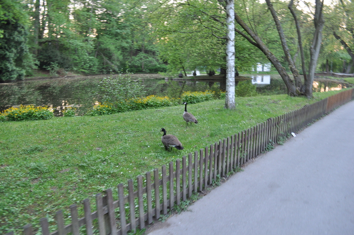 DSC_0029 (700x465, 331Kb)