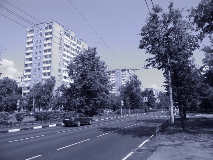 3014304_DSCN1589 (700x525, 301Kb)