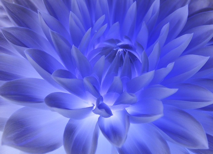 0_191e9_1988f72f_XL (700x505, 64Kb)