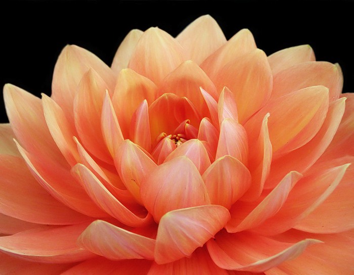 0_191f2_a4728424_XL (700x544, 72Kb)