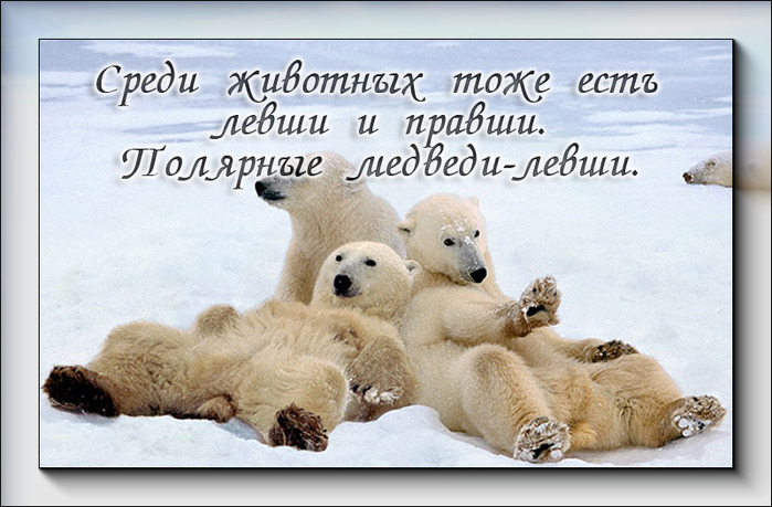 3589298_5 (700x459, 109Kb)