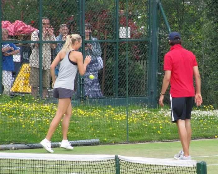 6-shar (700x560, 254Kb)