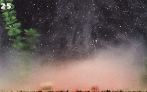 25 (301x189, 14Kb)