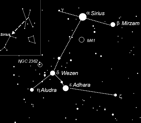 Сириус звезда какого созвездия. Сириус звезда в созвездии большого пса. Созвездие большого пса на карте звездного неба. Созвездия Ориона и большого пса и звезда Сириус. Canis Majoris Созвездие.