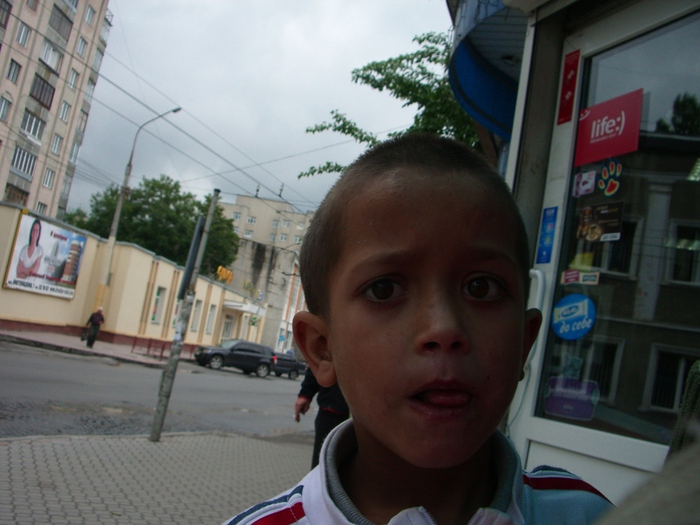 IMGP5444 (700x525, 168Kb)