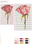  Roses 17 (502x700, 122Kb)