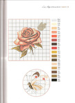  Roses 41 (509x700, 87Kb)