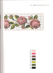  Roses 45 (509x700, 61Kb)