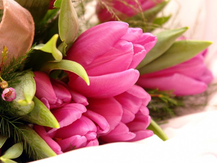 fancy_pink_flowers-wide-1920x1080 (700x525, 76Kb)