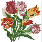  520_Tulips  (423x420, 204Kb)