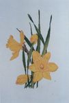  SL 072 Daffodils (296x439, 15Kb)