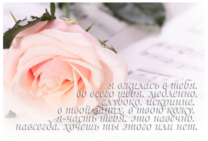 3770037_epigraf (700x473, 391Kb)