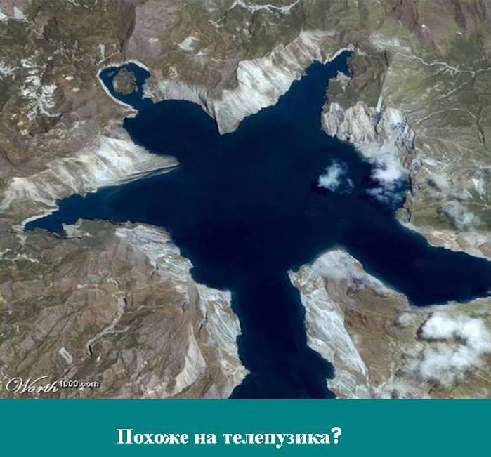 Slide2 (700x651, 60Kb)