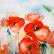 3871644_75930376_3882888_mohnblumenaquarell1_large (110x110, 29Kb)