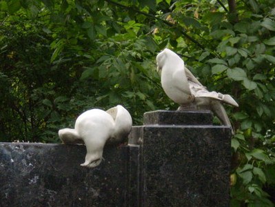 P9130850 (399x300, 48Kb)