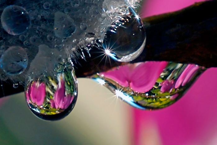 1309 (700x466, 238Kb)