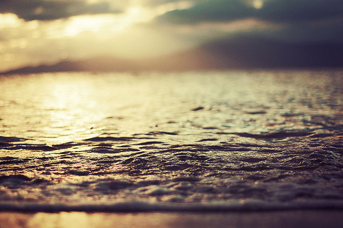 3215701_tumblr_lkc22yCd7J1qb3oqio1_500_large (500x333, 111Kb)