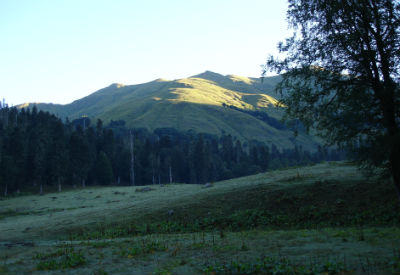 4416559_krasota (400x275, 23Kb)