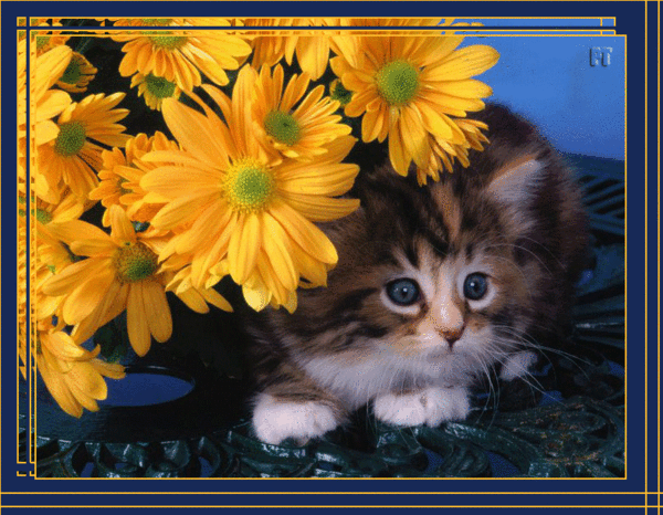 --GIF_~1 (600x466, 1086Kb)