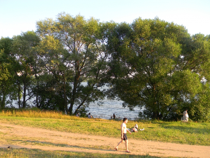 3014304_DSCN1683 (700x525, 363Kb)