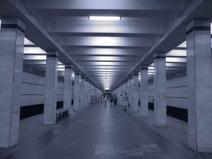3014304_Akademicheskaya (700x525, 199Kb)